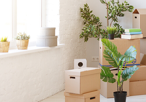 Teilbild eines Umzuges