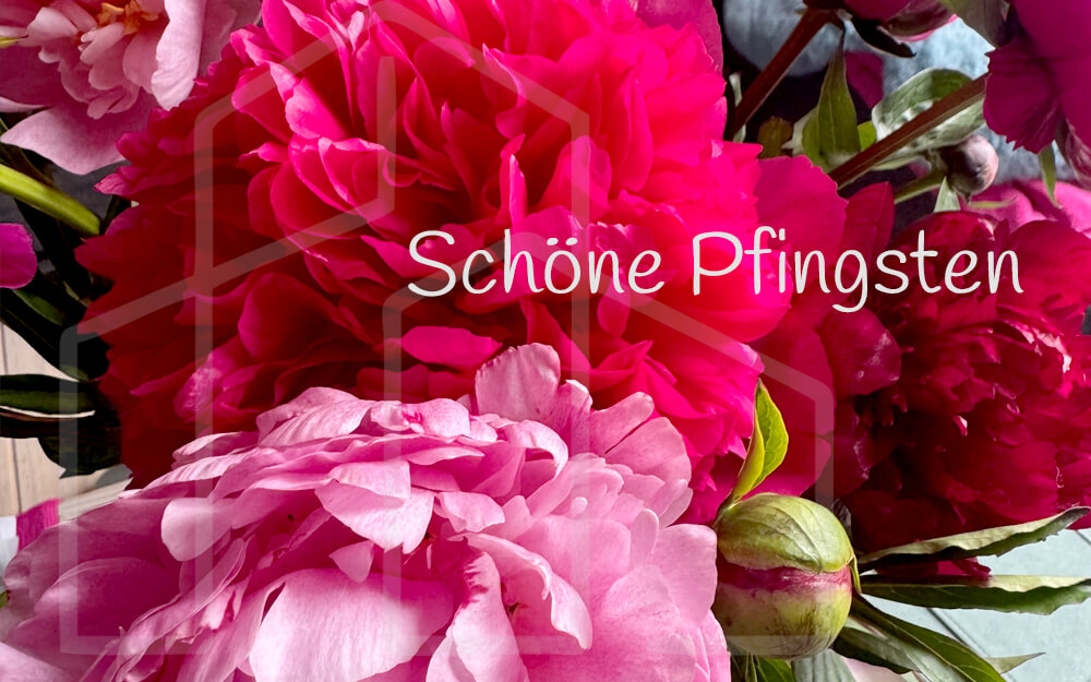 Blume im  Schnee