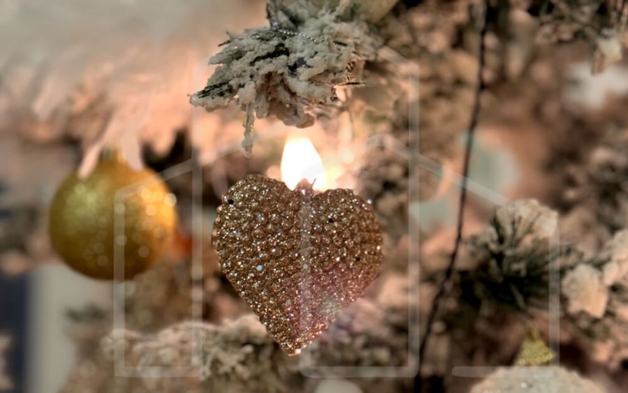 junges-paar-beim-einzug-Fronz-und-Pabst-Immobilienbetreuung-Hohenheida