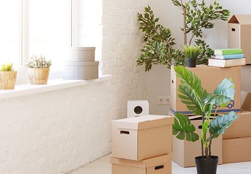 Teilbild eines Umzuges